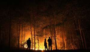 Лесные пожары. Фото: http://www.inright.ru/