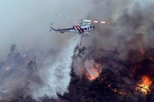 Лесные пожары в Калифорнии. Фото: http://fototelegraf.ru/