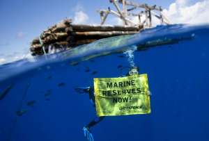  Активист Гринпис с плакатом, призывающим к созданию новых морских заповедников. Фото:  ©Greenpeace
