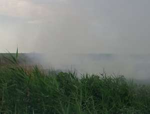 Сжигание рисовой соломы в рисовых чеках. Фото: http://bellona.ru