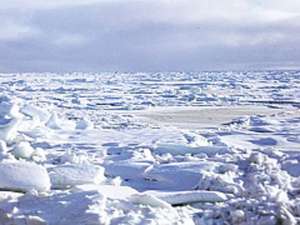 Канадская баржа-призрак с 3,6 тоннами дизтоплива на борту, скованная льдами возле Чукотки, может угрожать экологии региона. Фото: Портал государственных органов Чукотского автономного округа