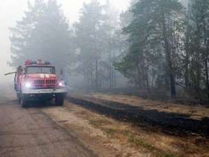 Лесные пожары на Северо-Западе России