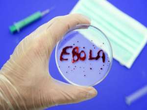 Вакцина от Эболы. Фото: http://beladeco.by