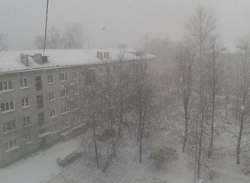 Зима в районе Павловска. Фото: http://www.fontanka.ru