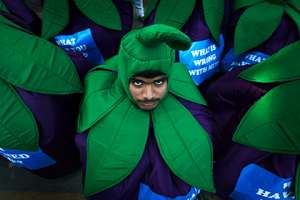  Активист Greenpeace, Индия Фото: Aijaz Rahi / Reuters