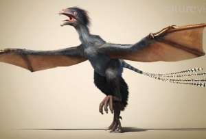  Перепончатый динозавр, по словам китайских палеонтологов, являлся хищником ©livescience.com