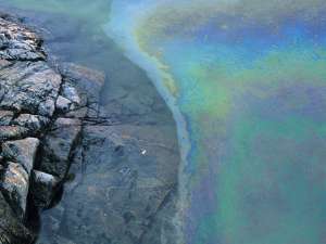 Экологи сообщают о разливах нефти на Сахалине. Фото: Global Look Press