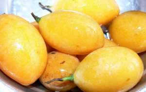 Гибрид сливы и манго. Фото: http://agronews.ua
