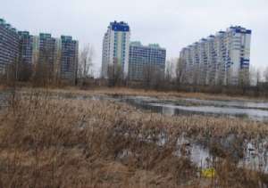 Фото: Пресс-служба департамента природных ресурсов и охраны окружающей среды Новосибирской области
