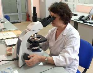 Анализ проб планктона в лаборатории НИИ биологии ИГУ. Фото с сайта bioinstitute.ru