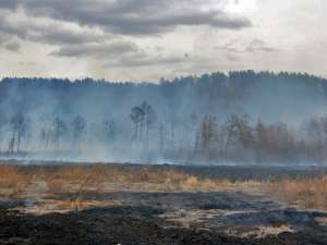 Половина жителей Забайкальского края, где из-за лесных пожаров введен режим ЧС, считает, что главной причиной распространения огня являются специальные поджоги. Фото: МЧС России