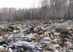 Гражданам жалко денег на вывоз мусора. Фото с сайта Дейта.Ru (http://deita.ru)
