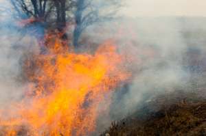 Лесные пожары. Фото: http://www.meteo-tv.ru