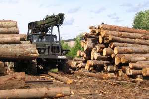 Выявлены нарушения в деятельности деревообрабатывающего предприятия