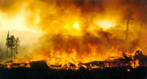 Лесные пожары. Фото: http://joinfo.ua