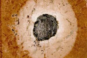  Двойной кратер Изображение: University of Gothenburg