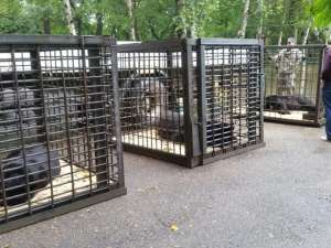 В Уссурийске приступили к строительству нового муниципального зоопарка