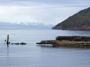 Экологический кризис на озере Байкал, похоже, продолжает развиваться. Ученые отмечают, что вода в некоторых районах Байкала не соответствует санэпидемиологическим нормам, и ни люди, ни даже скотина не могут пить воду из озера. Фото: Global Look Press
