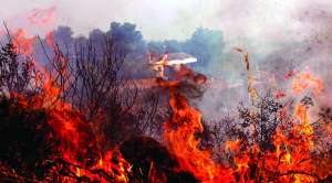Лесные пожары в Испании. Фото: http://www.russianspain.com