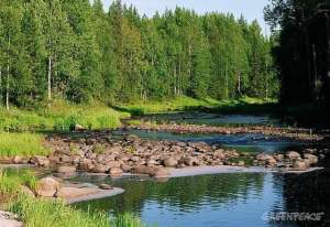 Национальные парки России. Фото: http://www.greenpeace.org