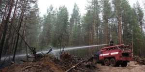 Леса Ленобласти готовы к пожароопасному сезону
