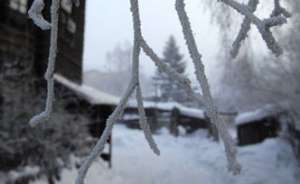 Зима. Фото: http://www.hayinfo.ru