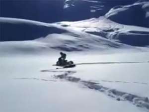 На Алтае прокуратура заинтересовалась ВИДЕО погони на снегоходах за снежным барсом. Фото: YouTube