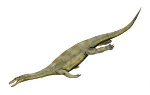 Нотозавры были ближайшими родственниками диандонгозавра и дианмеизавра (рисунок Nobu Tamura https://en.wikipedia.org/wiki/Nothosaurus#/media/File:Nothosaurus_BW.jpg)