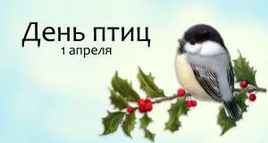 День птиц. Фото: http://fotohomka.ru