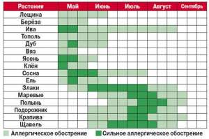 Календарь цветения растений в европейской части России