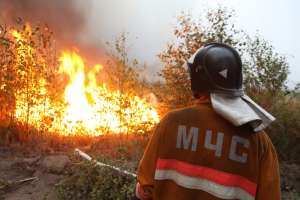 Лесные пожары. Фото: http://lentaregion.ru