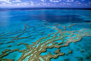 Большой Барьерный риф Фото: William Chopart / MondImage / Globallookpress.com