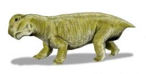Вымерший Lystrosaurus. © Nobu Tamura/Wikipedia/CC BY 3.0