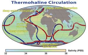 Система термохалинных течений. Красные — поверхностные, синие — глубоководные. © NASA