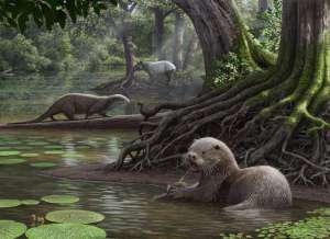 Кости крупнейшей из когда-либо живших на Земле выдр были найдены американскими палеонтологами в китайской провинции Юньнань. Эти животные населяли болота, реки и озера около 18 млн лет назад.