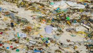 Пластиковые отходы, загрязняющие Мировой океан, обретут вторую жизнь. Фото Global Look Press.