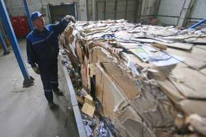Переработка бумаги давно уже стала привычным делом. Фото: Егор Ефимов/РИА Новости