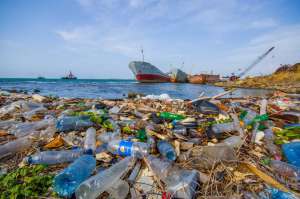 Накопление пластиковых отходов в мировом океане идет в десятки раз медленнее, чем ожидается. Ученые связывают это с деятельностью пока неизвестных бактерий.