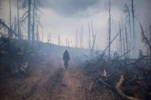 Во время тушения природного лесного пожара в Кабанском районе Бурятии. © / Валерий Мельников / РИА Новости