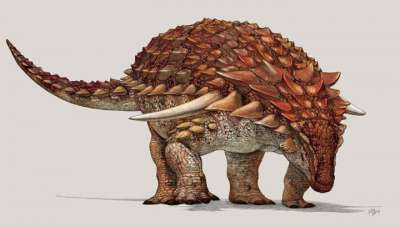 Некоторые учёные уверены, что динозавр имел рыжий окрас. Иллюстрация Royal Tyrrell Museum of Palaeontology, Drumheller, Canada.