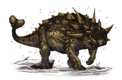 Анкилозавры, травоядные рептилии, когда-то достигавшие 8 м в длину и безнадежно вымершие вместе с другими динозаврами, по какой-то причине попадаются палеонтологам в перевернутом виде. Ученые долго пытались объяснить, почему анкилозавры умирали вверх ногами.