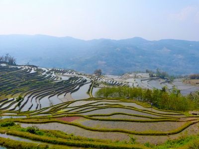 Рисовые террасы Хунхэ-Хани.