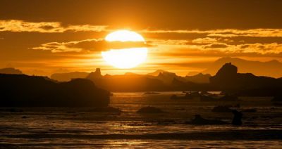 Самая высока температура, зафиксированная в Антарктиде, составила 14.5°C. (Christopher Michel/CC BY 2.0).