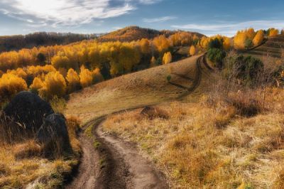 Дорога в осень, Россия. (© Павел Силиненко)