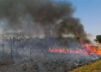 Лесной пожар в Бразилии во время засухи 2015 года. Wikimedia commons