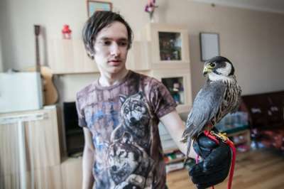 Грамотному обращению с хищными птицами нужно долго учиться. Фото: Татьяна Кравченко/РГ