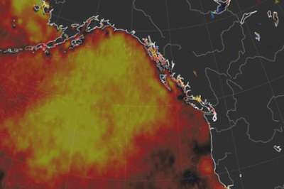 Причиной появления аномально теплой зоны в океане является необычно высокая для осенних месяцев температура воздуха над Аляской. Фото: earth.nullschool.net