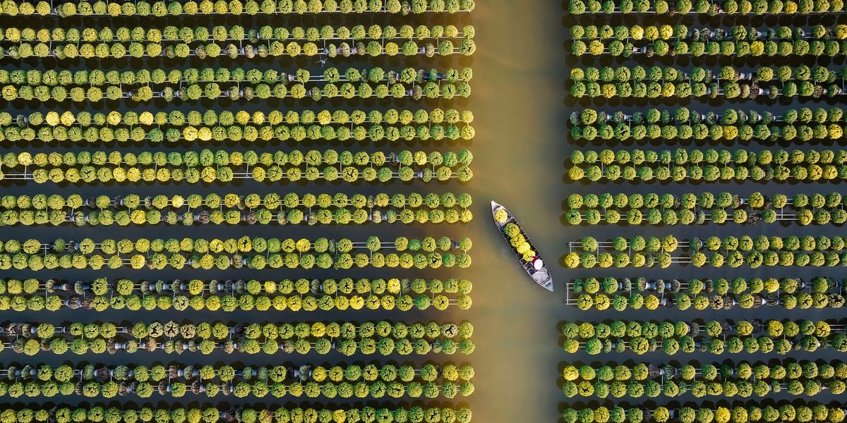 Фото: Tuan Nguyen Tan