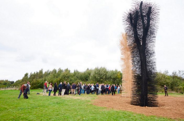 Скульптуры британских художников Хизер Экройд и Дэна Харви в White Horse Wood Country Park, посвященные проблеме суховершинности ясеня и роли этого дерева в культуре Англии