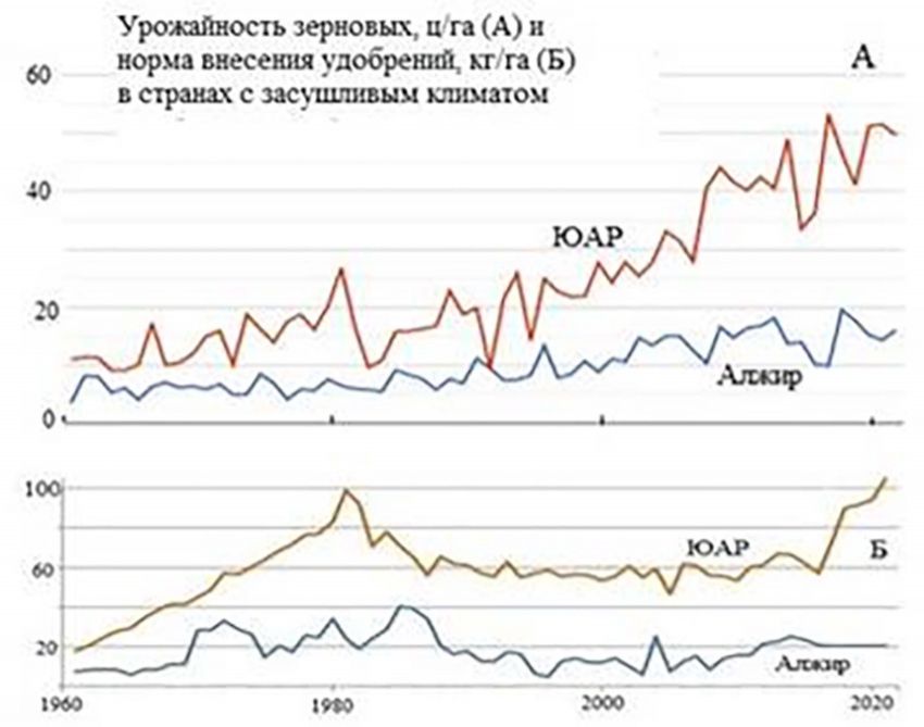 На рис. 4 видно, что в Алжире и ЮАР из-за вооруженных конфликтов норма внесения удобрений сильно и надолго снизилась